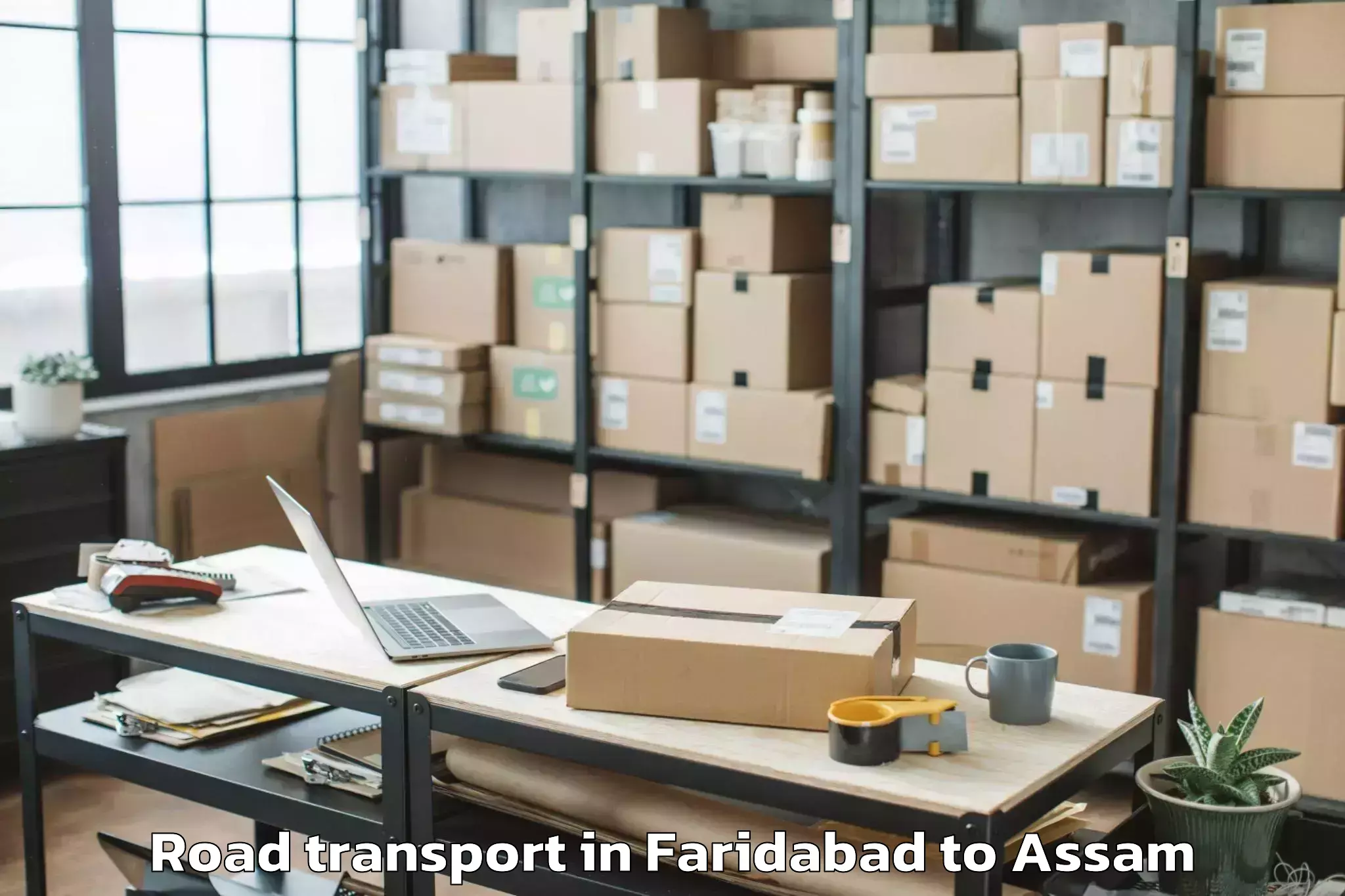 Trusted Faridabad to Tezpur Road Transport